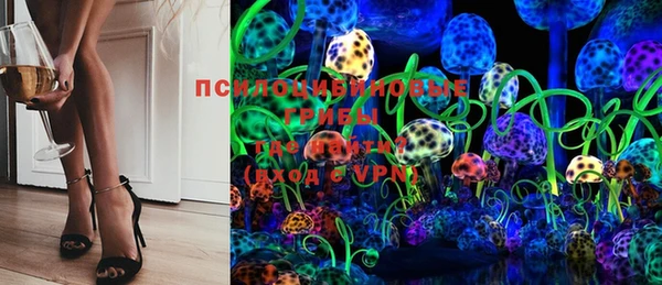 твердый Бронницы