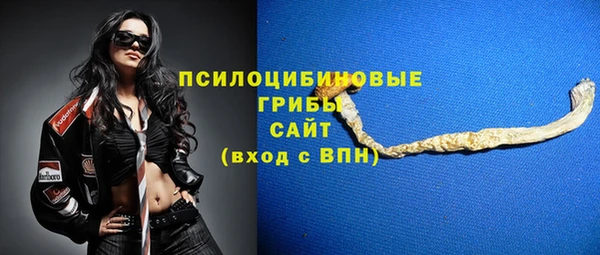 стаф Бугульма