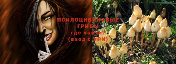 стаф Бугульма