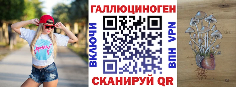 купить наркотик  Бугульма  Галлюциногенные грибы Psilocybine cubensis 