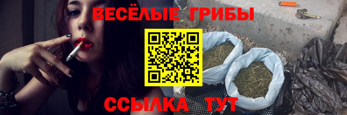 Галлюциногенные грибы GOLDEN TEACHER  Бугульма 