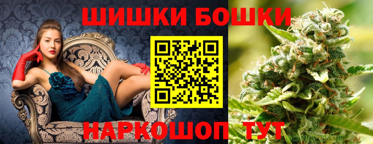 Конопля гибрид Бугульма